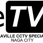 Erraville Surveillance Solution Specialist logo