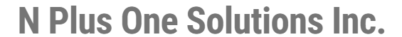 N PLUS ONE SOLUTIONS INC. logo