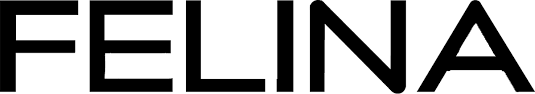 Felina Corporate Plaza Inc logo