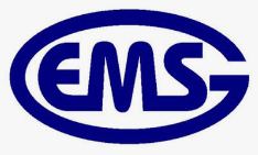 GEMORA Electronic Marketing & Services (GEMS) logo