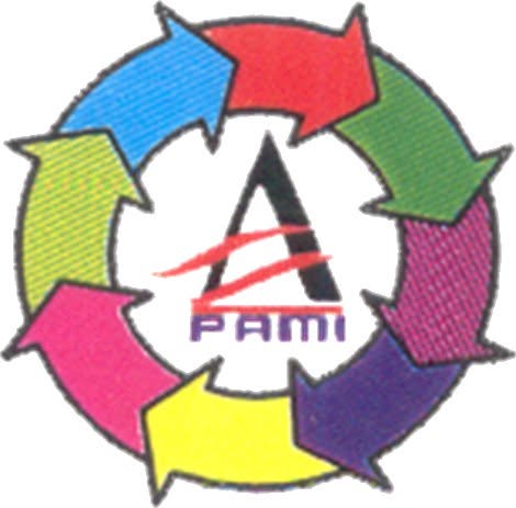 Passenger Accident Management And Insurance Agency, Incorporated logo