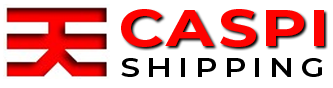 Caspi Shipping & Transport Services, Inc. (CSTSI) logo