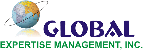 Delvisto Expertise Management, Incorporated logo