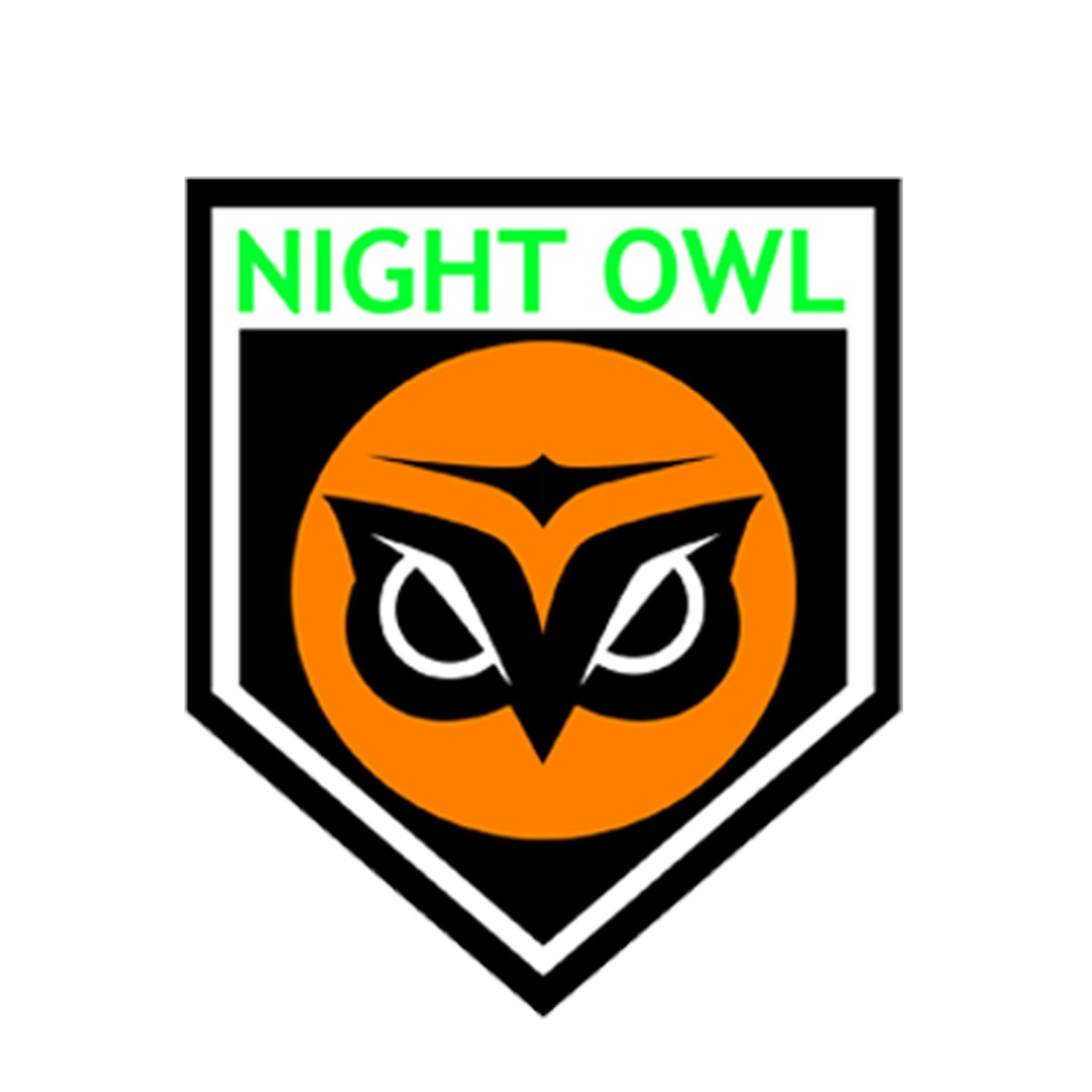 Night Owl Watchman & Security Agency, Incorporated logo